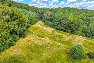 4908 Railroad Grade, Todd, NC 28684 - Photo 48