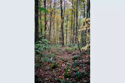 Lot 35 Tynecastle Drive, Banner Elk, NC 28604 - Photo 22