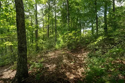 1303 Reynolds Parkway, Boone, NC 28607 - Photo 12