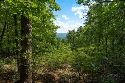 1303 Reynolds Parkway, Boone, NC 28607 - Photo 2