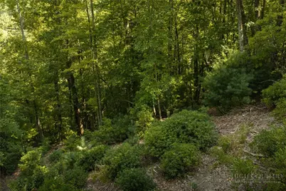 282 Ninebark Road, Boone, NC 28607 - Photo 14