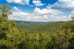 282 Ninebark Rd, Boone, NC 28607 - Photo 1