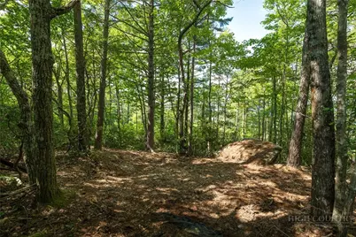 327 Lyreleaf Trail, Boone, NC 28607 - Photo 2