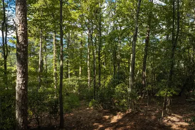 327 Lyreleaf Trail, Boone, NC 28607 - Photo 10