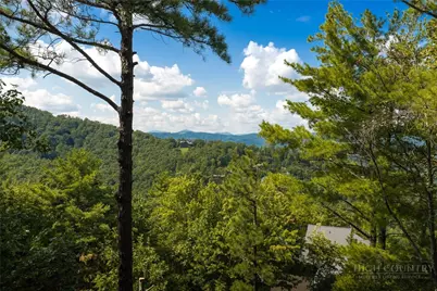 327 Lyreleaf Trail, Boone, NC 28607 - Photo 12