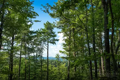 327 Lyreleaf Trail, Boone, NC 28607 - Photo 8