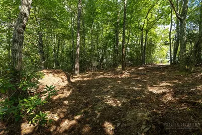 327 Lyreleaf Trail, Boone, NC 28607 - Photo 4