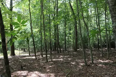 Lot 3 Venue Views Drive, Lansing, NC 28643 - Photo 10
