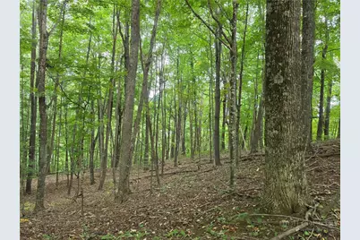 Lot 10 Townview Street, West Jefferson, NC 28694 - Photo 2
