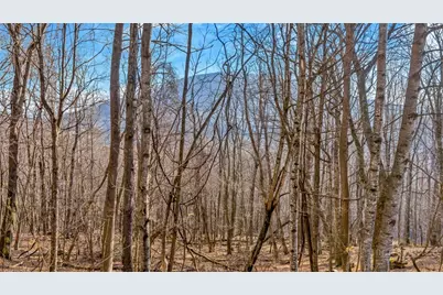 Lot 20 Townview Street, West Jefferson, NC 28694 - Photo 6