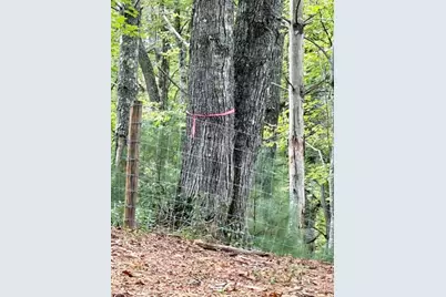 Lot 50 Brightwater Trail, West Jefferson, NC 28694 - Photo 14