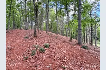 Lot 50 Brightwater Trail, West Jefferson, NC 28694 - Photo 4