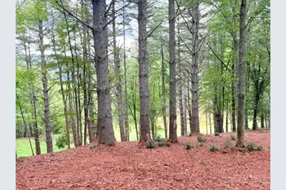 Lot 50 Brightwater Trail, West Jefferson, NC 28694 - Photo 8