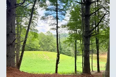 Lot 50 Brightwater Trail, West Jefferson, NC 28694 - Photo 2