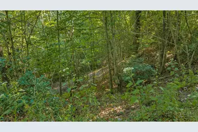 Tbd Lot 13 Parkway Pointe Drive, West Jefferson, NC 28694 - Photo 16