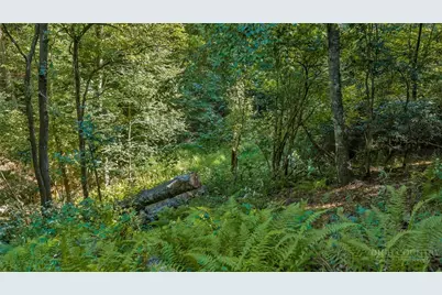 Tbd Lot 13 Parkway Pointe Drive, West Jefferson, NC 28694 - Photo 2