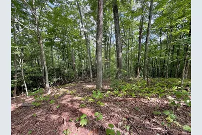 Tbd Galax Lane, Banner Elk, NC 28604 - Photo 8