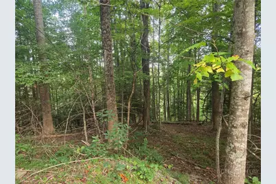 Lot 111R Powder Horn Estates Drive, Deep Gap, NC 28618 - Photo 4