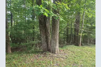 Lot 111R Powder Horn Estates Drive, Deep Gap, NC 28618 - Photo 2