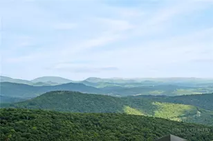459 Boone Ridge Ln, Boone, NC 28607 - Photo 4