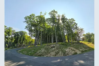 131 Eagle Roost, Banner Elk, NC 28604 - Photo 2