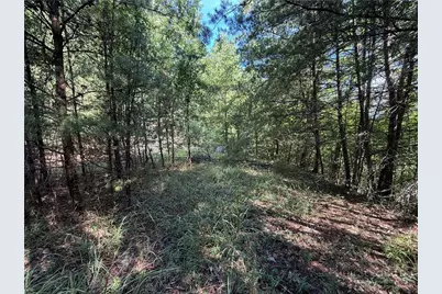 Lot 24 Wolf Pen Road, Purlear, NC 28665 - Photo 14