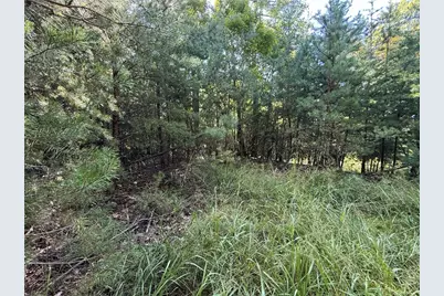 Lot 24 Wolf Pen Road, Purlear, NC 28665 - Photo 8