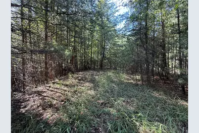 Lot 24 Wolf Pen Road, Purlear, NC 28665 - Photo 10