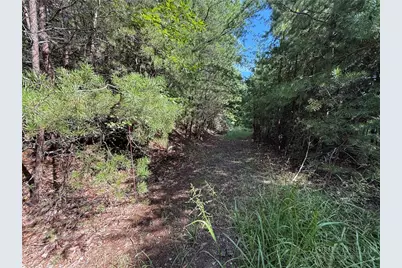 Lot 24 Wolf Pen Road, Purlear, NC 28665 - Photo 16