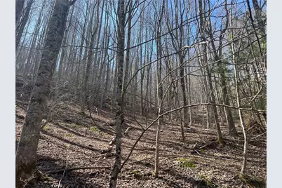 Tbd Hart Road, Lansing, NC 28643 - Photo 2