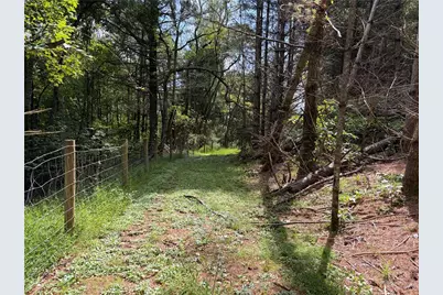 Tbd Burnt Hill Road, Laurel Springs, NC 28644 - Photo 12