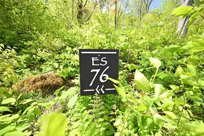 Es76 Lands End Trail, Banner Elk, NC 28604 - Photo 4