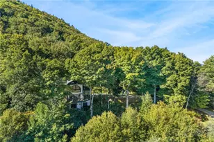 1729 Spice Bottom Trail, Banner Elk, NC 28604 - Photo 34