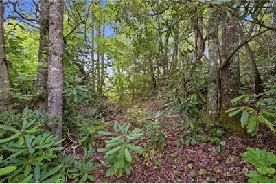 Tbd (Lot 60) Raven Ridge Road, Banner Elk, NC 28604 - Photo 1