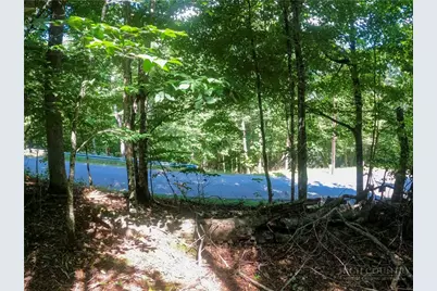 112 Tamarack Road, Beech Mountain, NC 28604 - Photo 4