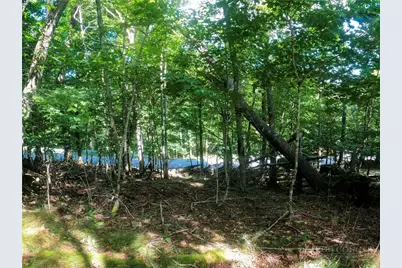 112 Tamarack Road, Beech Mountain, NC 28604 - Photo 10