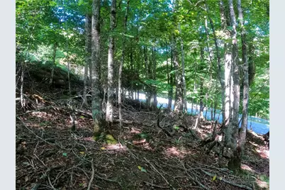 112 Tamarack Road, Beech Mountain, NC 28604 - Photo 8