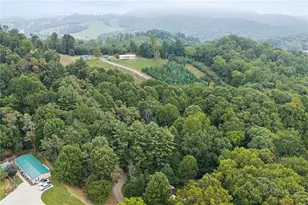 443 Holman Rd, Todd, NC 28684 - Photo 38