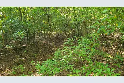 105 Chipmunk Lane, Beech Mountain, NC 28604 - Photo 10
