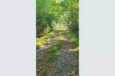 105 Chipmunk Lane, Beech Mountain, NC 28604 - Photo 6