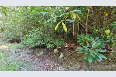 105 Chipmunk Lane, Beech Mountain, NC 28604 - Photo 2
