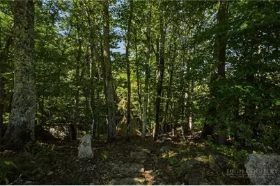 1125 High Valley Overlook, Banner Elk, NC 28604 - Photo 22