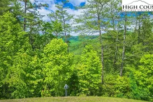 Lot 1 Reynolds Pkwy, Ferguson, NC 28624 - Photo 1
