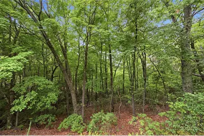Tbd (Lot 1283) Reynolds Parkway, Boone, NC 28607 - Photo 4