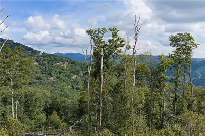 S123 Silver Eagle Trail, Banner Elk, NC 28604 - Photo 4