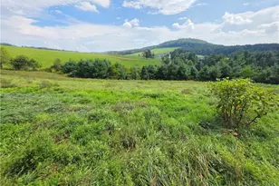 Tbd Crestview Mountain Dr, Ennice, NC 28623 - Photo 1