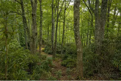 Lot 3 Fieldstone Heights Drive, Blowing Rock, NC 28605 - Photo 2