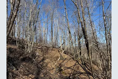 Lot 32 Jewel Weed Trail, Newland, NC 28657 - Photo 2