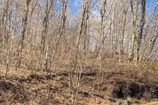 Lot 32 Jewel Weed Trail, Newland, NC 28657 - Photo 1