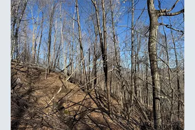 Lot 32 Jewel Weed Trail, Newland, NC 28657 - Photo 6